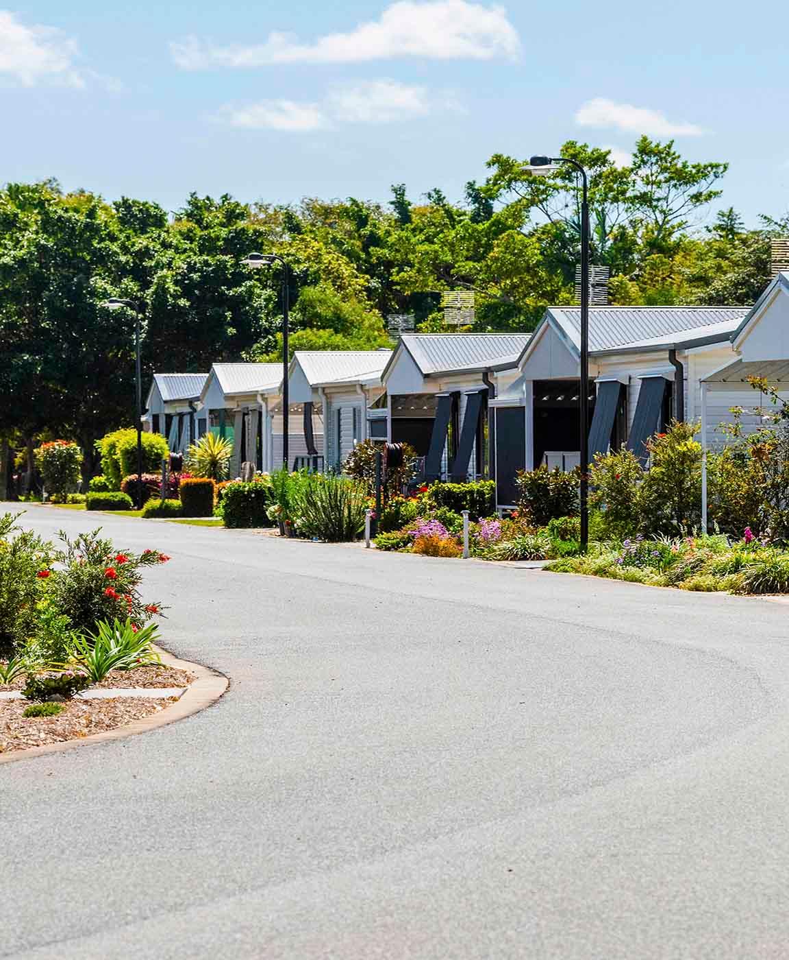 Jacaranda Grove streetcape.M